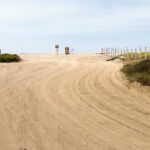 End border field state beach 2019 year in review