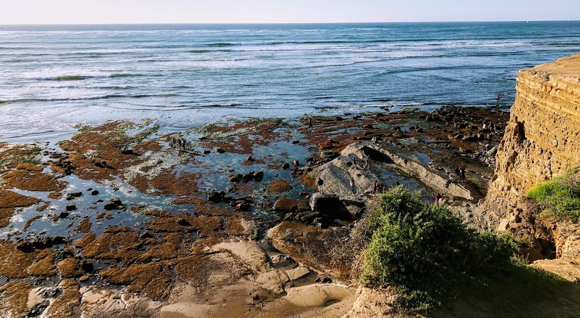 Garbage Beach 1-12-2020 king tide