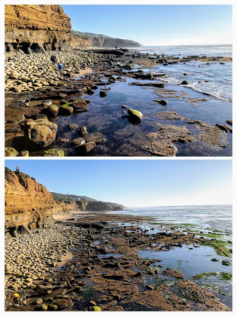 Garbage Beach low tide comparison Garbage Beach 