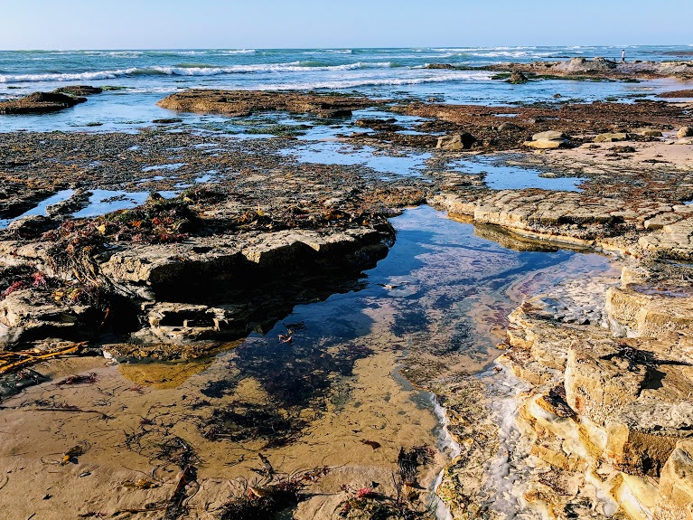 Tide pools sunset cliffs garbage beach