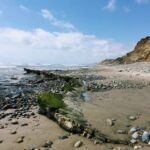 trails beach tidepools 2019 year in review