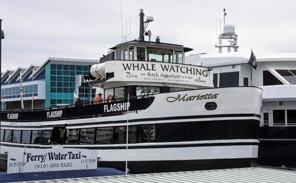 Flagship Whale Watching san diego February 2020 