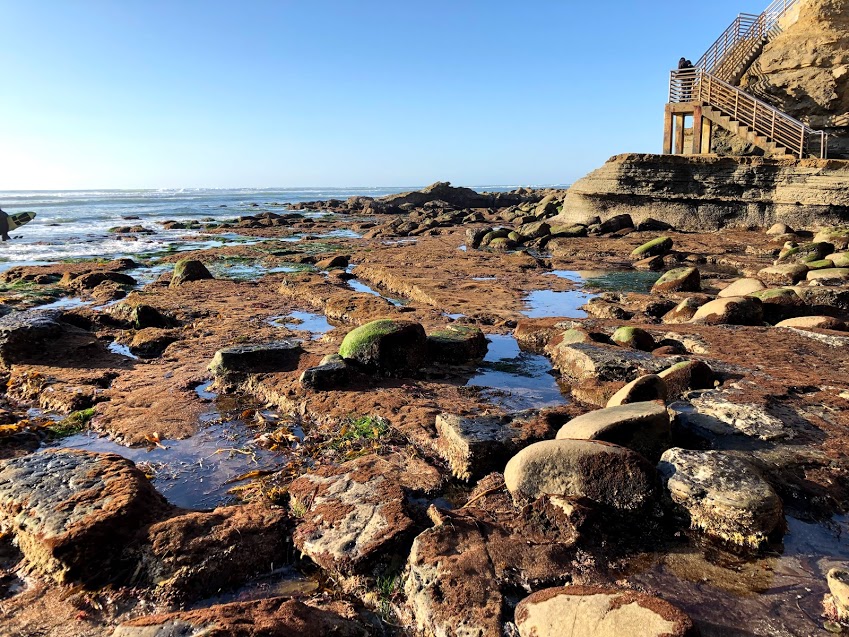 Garbage Beach 2020 tidepools low tide