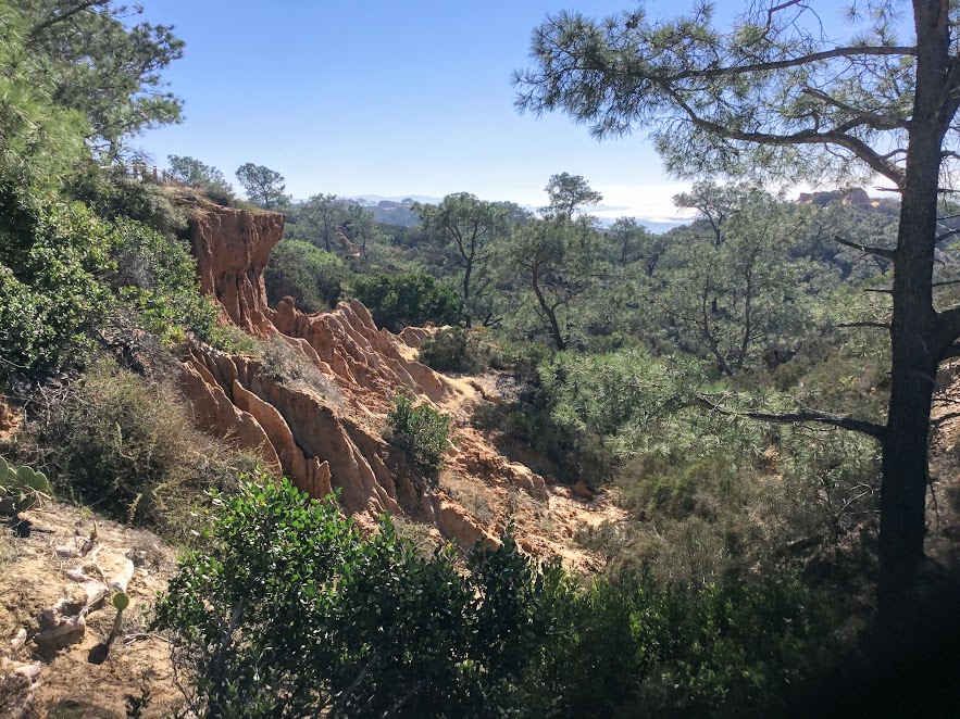 Torrey pines state natural reserve march events