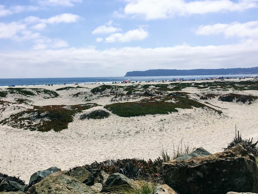 Coronado beach sand dunes ocean clouds