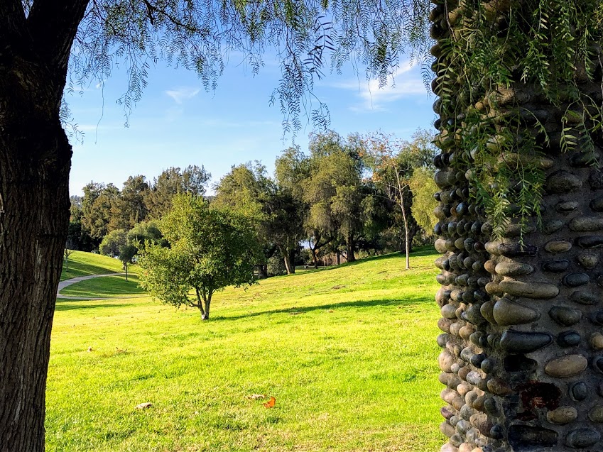 Guajome regional park grassy picnic area