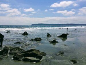 Coronado Island Beach webcam