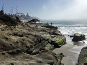 Windansea beach webcam tidal shelf waves ocean