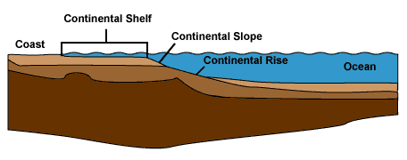 Continental shelf diagram coastal pelagic sharks