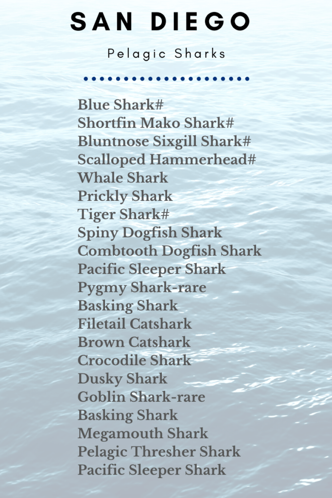Pelagic San Diego Sharks list