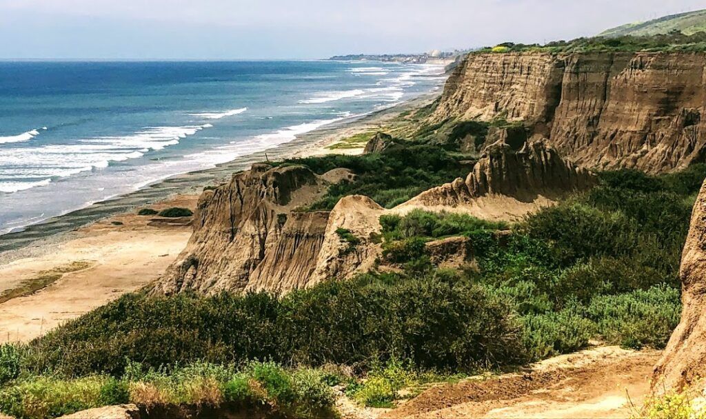 San Diego Shark Sightings San Diego Beach Secrets