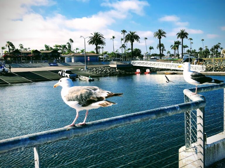 The New Shelter Island Boat Launch Ramp San Diego Beach Secrets