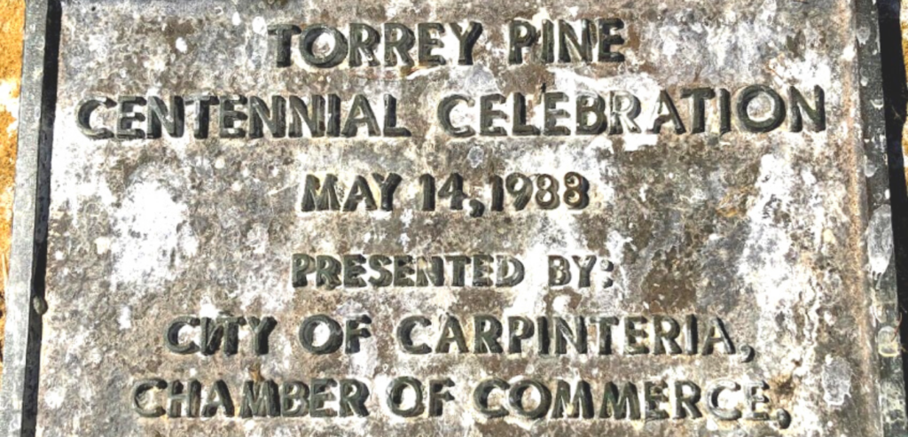 Centennial placard carpinteria wardholme torrey pine