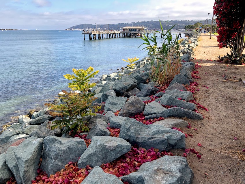 shelter island pier san diego bay 