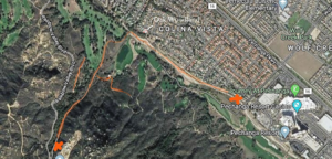 Temecula plant ID trails native plants