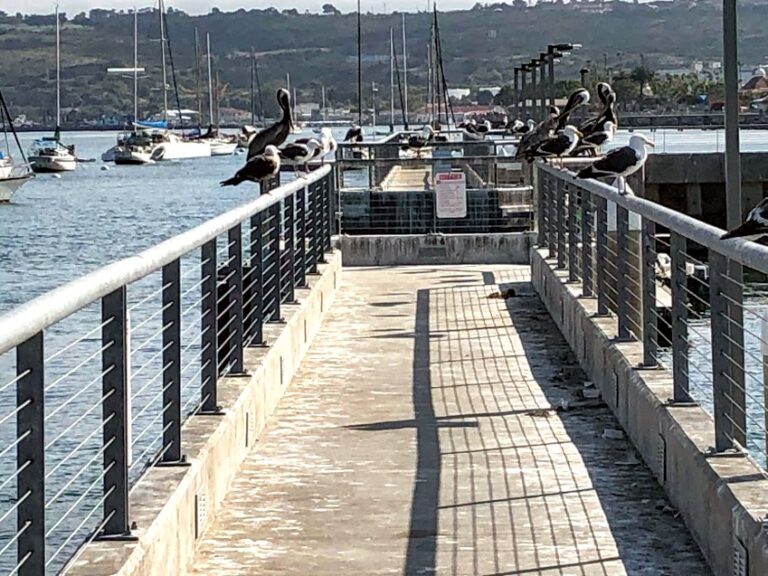 The New Shelter Island Boat Launch Ramp San Diego Beach Secrets