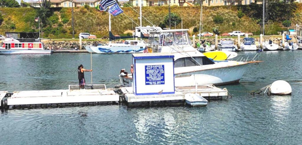 Oceanside Bait company oceanside harbor