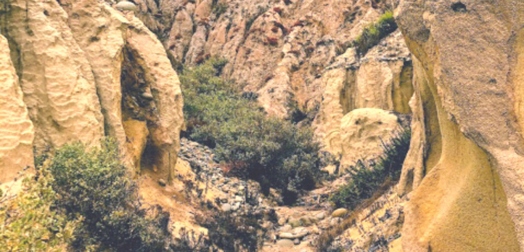 beginning gully sand stone cliffs stones plants