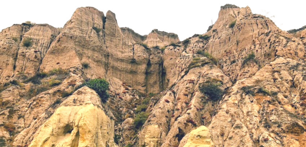 bluffs south bluffs beach san onofre