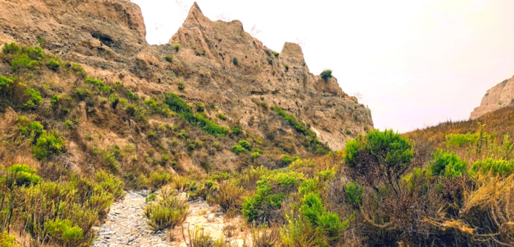 East turn san onofre gully beach trail