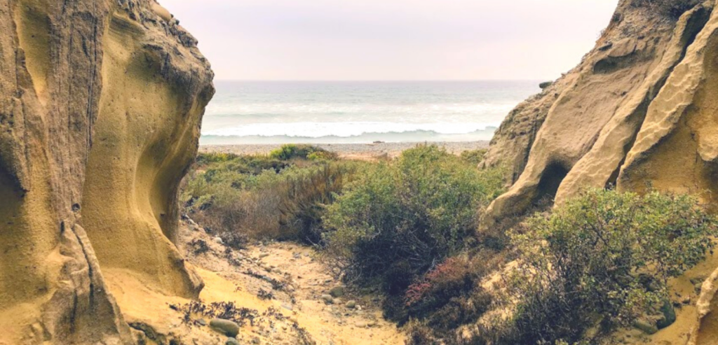 Ocean View bluffs beach plants rocks ocean