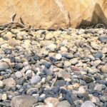 Catalina schist rocks sandstone bluffs