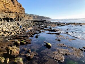 Garbage Beach san diego king tide