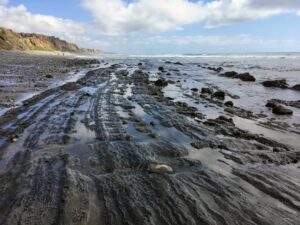 Monterey shale san onofre bluffs beach