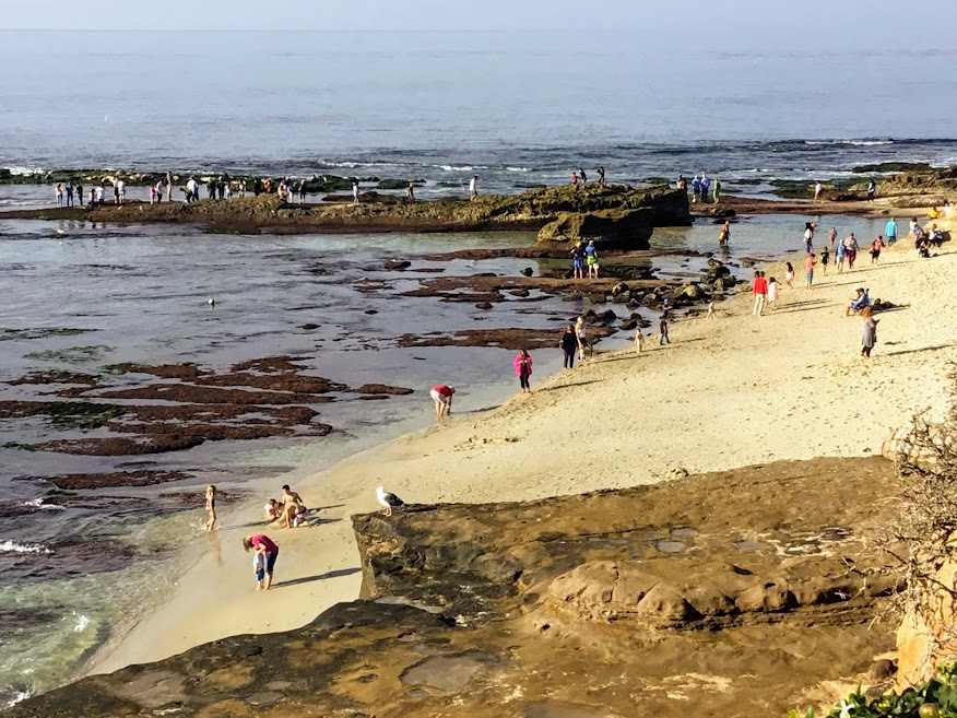 November 2018 point mencinger la jolla low tide