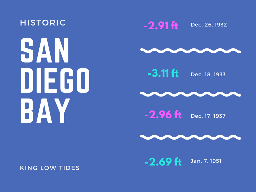 Where to go? San Diego King Tides Updated 2024 San Diego Beach Secrets