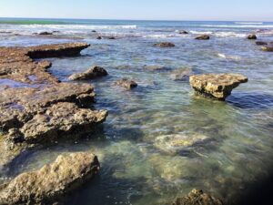 torrey pines monterey formation ocean water 