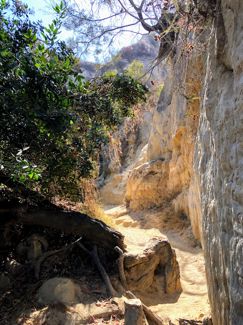 Annies canyon trail san elijo lagoon