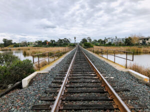 buena vista lagoon railroad tracks oceanside ca