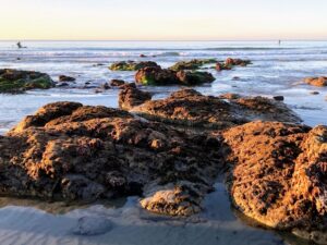 La Jolla Shores Beach La jolla underwater park