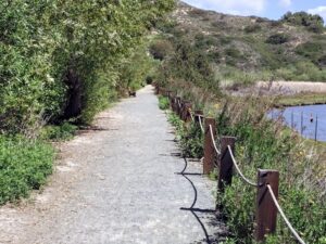 lagoon walk 16 san elijo lagoon trail