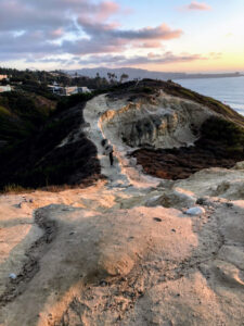 la jolla trail blacks beach la jolla