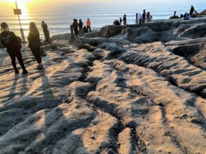 overlook bluffs blacks beach torrey pines state beach