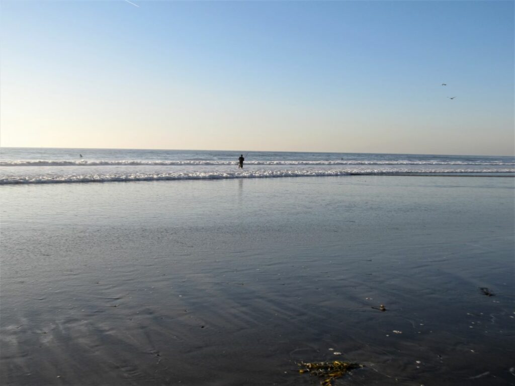 Fishing Boneyards encinitas shore fishing