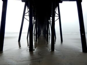 oceanside pier underneath san diego salt water fishing