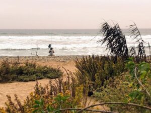 fishing trail 6 san onofre bluffs beach