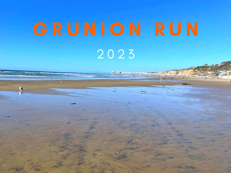 Grunion Run 2023 La Jolla Shores low tide