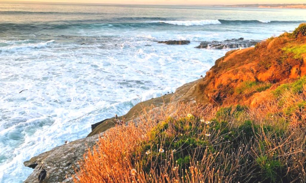 2021-grunion-run-schedule-san-diego-beach-secrets