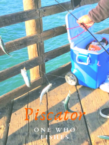 piscator definition mackerel fishing pole