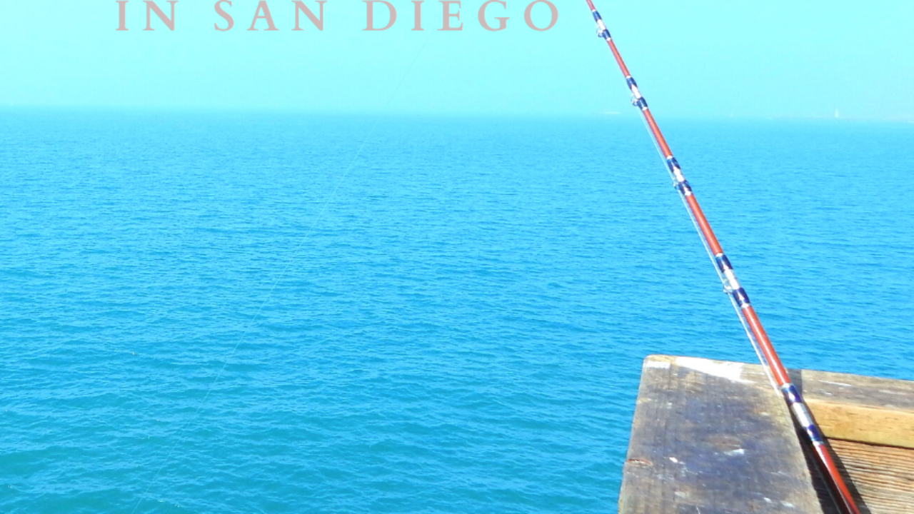 Saltwater Fishing in San Diego – San Diego Beach Secrets