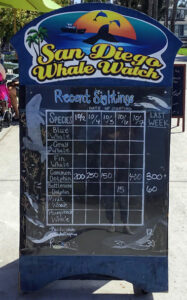 san diego whale watching tours schedule mission bay
