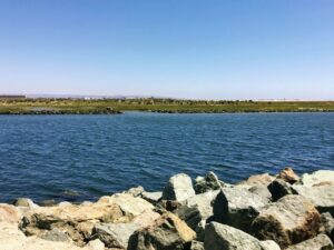 sweetwater river channe san diego bayl