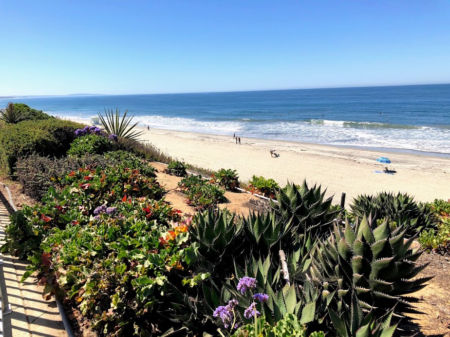 Robert Frazee Beach Carlsbad San Diego