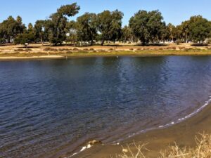 san diego birding tecolote creek