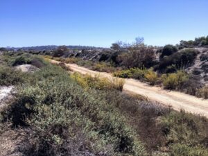 sand dunes fiesta island mission bay 