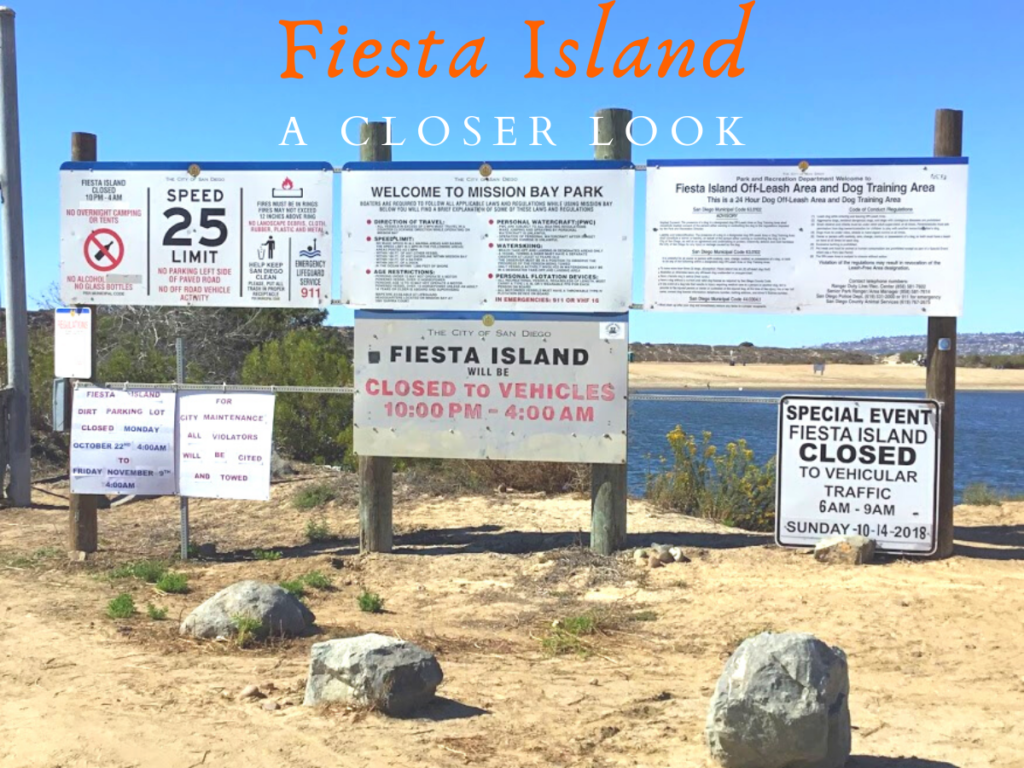 Fiesta Island A Closer Look San Diego Beach Secrets